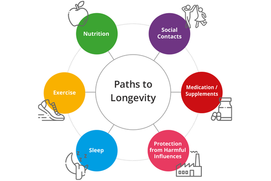 Paths to Longevity