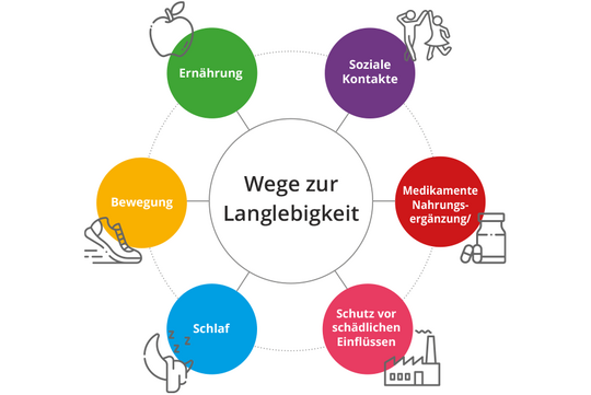 Grafik - Wege zur Langlebigkeit - Longevity