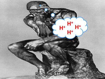 Haben auch schon von der Übersäuerung gehört?