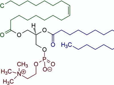 lipid-exchange-therapy