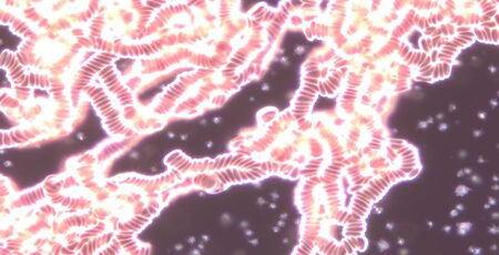 High Resolution Blood Microscopy