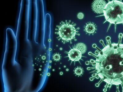 Immunstärkung über den Darm