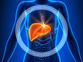 Ernährung bei Leber- und Gallenleiden