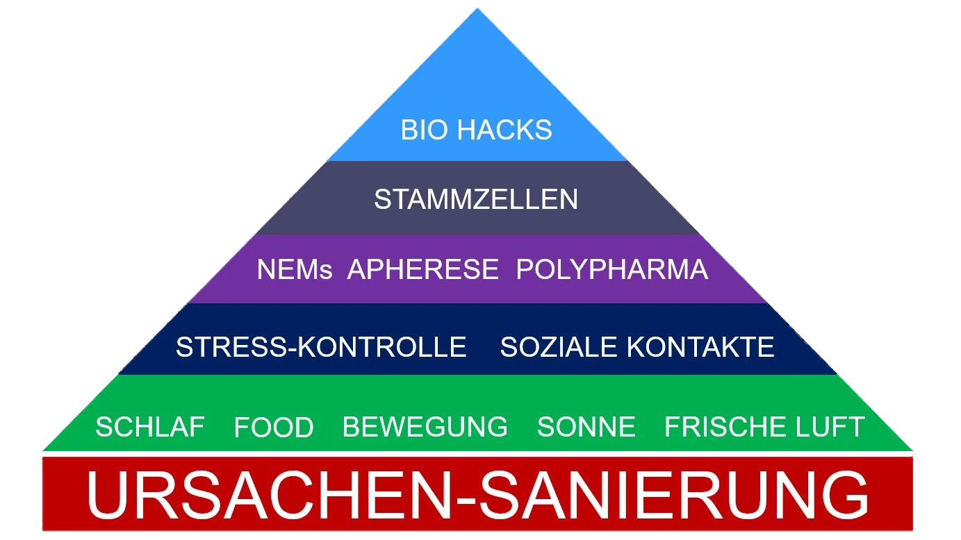 Longevity Center Zürich unser ganzheitlicher Ansatz