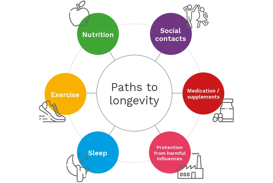 Paths to longevity