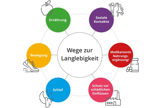 Wege zur Langlebigkeit